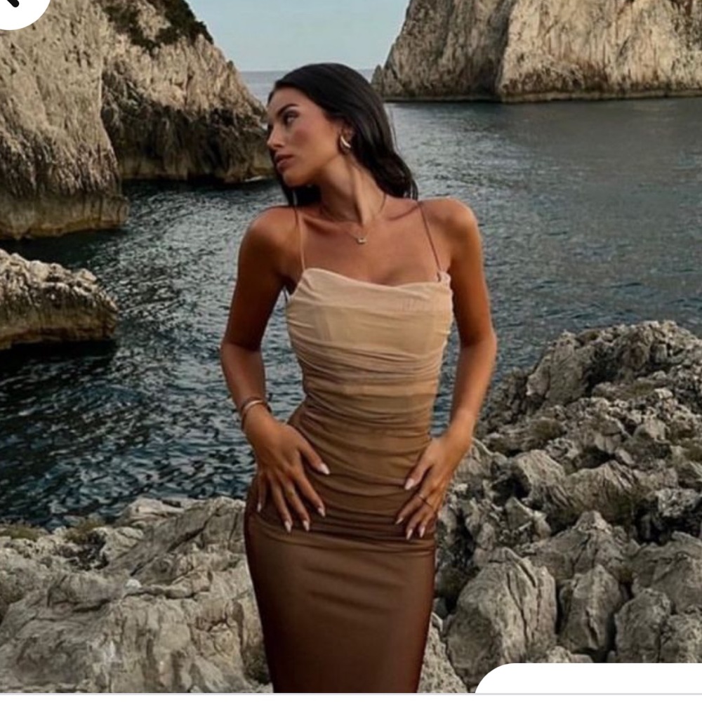 Zara Small Ombre Dress Tulle